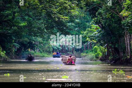 Pirojpur, Bangladesh : marché flottant de la Guava Atghar Kuriana Banque D'Images