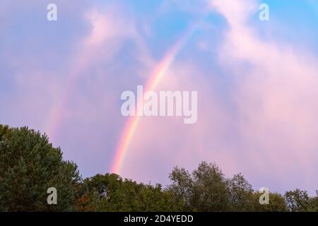 Double arc-en-ciel au-dessus de la forêt avec ciel bleu après la pluie. Nuages colorés. Banque D'Images