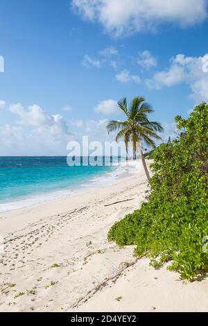 Abaco Islands, Bahamas, Elbow Cay, espère que la ville, plage de Hope Town Banque D'Images