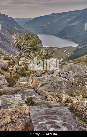 Paysage de montagne dans les montagnes de wicklow, Irlande. Petit ruisseau qui s'infiltre dans le lac supérieur de glendalough. Banque D'Images