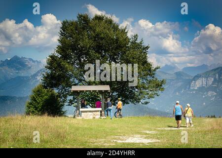 Les touristes admirent le paysage depuis le sommet de Cima Campo, Arsiè, Belluno. Grands arbres dans un ciel couvert de nuages Banque D'Images