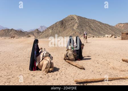 Hurghada, Egypte - 1 octobre 2020: Les femmes bédouines vêtues de hijabs se tiennent à côté des chameaux et attendent les touristes en Egypte Banque D'Images