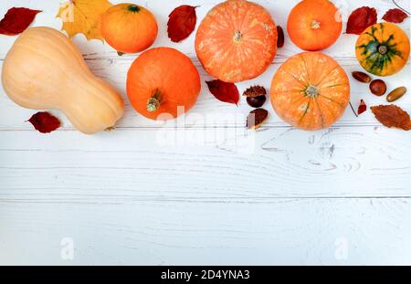 Plusieurs petits citrouilles sur un fond en bois clair avec des feuilles d'automne. Orientation horizontale, mise au point sélective, espace de copie, vue de dessus. Banque D'Images