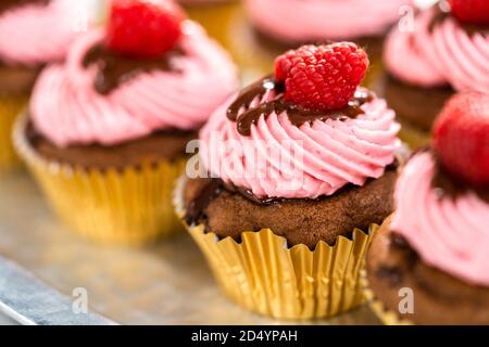 Des cupcakes au chocolat gourmets, arrosés de ganache au chocolat et recouverts d'une framboise fraîche. Banque D'Images