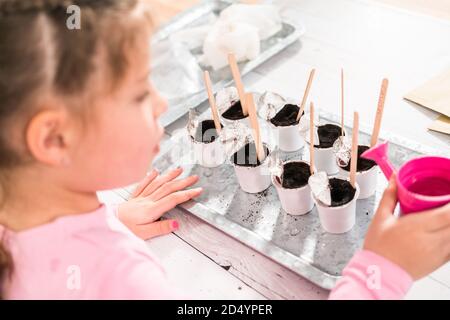 Petite fille plantant des graines dans des dosettes de café pour démarrer un jardin de légumes intérieur. Banque D'Images