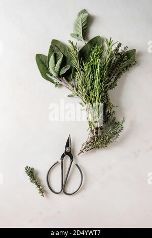 Variété d'herbes fraîches avec des ciseaux de cuisine sur fond de marbre blanc. Mise à plat, de l'espace. Concept de cuisine Banque D'Images