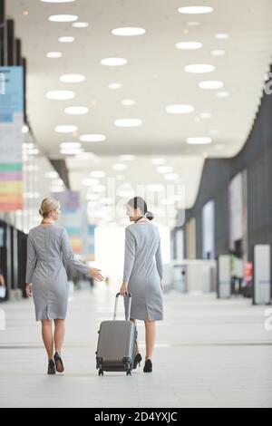 Vue arrière portrait de deux employés de bord élégants qui s'éloignent de l'appareil photo et de discuter à l'aéroport Banque D'Images