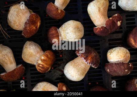 Vue de dessus des champignons Porcini frais (boletus edulis) dans un panier en plastique. Banque D'Images