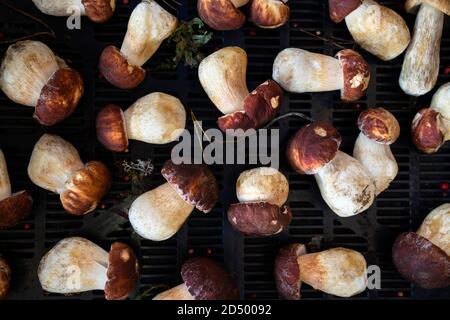 Vue de dessus des champignons Porcini frais (boletus edulis) dans un panier en plastique. Banque D'Images