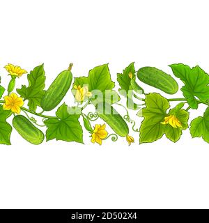 motif vectoriel de concombre Illustration de Vecteur