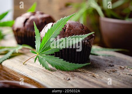 Cupcake avec de la marijuana. Muffins au chocolat avec de l'herbe de cannabis cbd. Médicaments de marijuana médicale dans le dessert alimentaire, ganja légalisation. Cuisson cuisson au four Banque D'Images