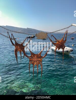 Poulpe gauche accroché au soleil pour sécher à la baie d'Amoudi sur l'île de Santorini en Grèce. Cuisine grecque de fruits de mer. Banque D'Images