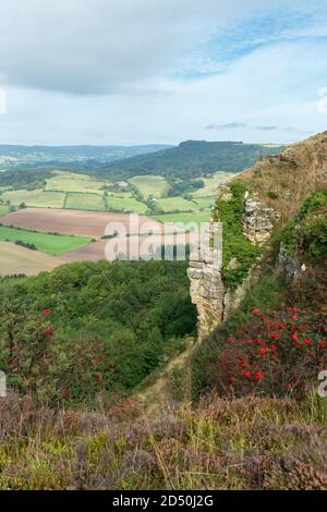 Vue sur la campagne du Yorkshire depuis la cicatrice de Roulston, près de Sutton Bank, North York Moors Banque D'Images