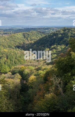La vallée de la rivière Ure à Hackfall Woods près de Grewelthorpe, dans le North Yorkshire Banque D'Images