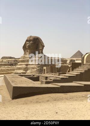 Sphinx en Égypte le Caire aux Pyramides de Gizeh Banque D'Images