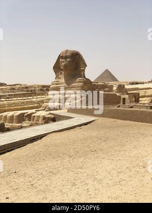 Sphinx en Égypte le Caire aux Pyramides de Gizeh Banque D'Images