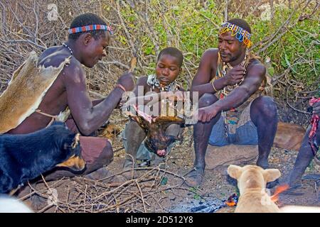 Hadza hommes préparant les flèches avant une expédition de chasse. Les Hadza, ou Hadzabe, sont un petit groupe ethnique dans le centre-nord de la tanzanie, vivant autour de L Banque D'Images