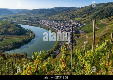 Vue depuis le vignoble de Calmont jusqu'à la boucle de la Moselle à proximité De l'unité Banque D'Images