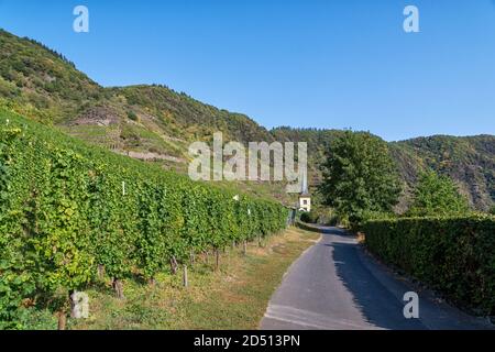 Vue sur les vignobles et l'église de Bremm La boucle de la Moselle Banque D'Images