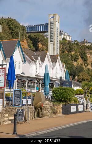 la falaise de shanklin sur l'île de wight Banque D'Images