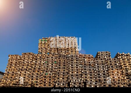 Une grande pile de palettes en bois d'occasion empilées l'une sur l'autre contre un ciel bleu au soleil pour le transport de marchandises dans une compagnie de transport pour Banque D'Images