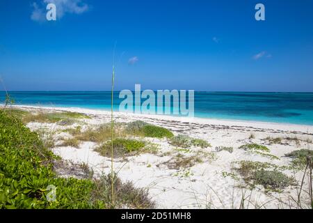 Bahamas, îles Abaco, Man O War Cay, Banque D'Images