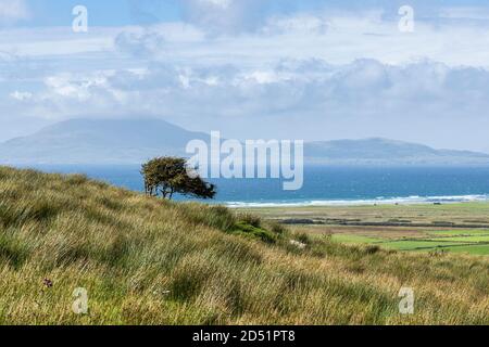 Vues sur la baie de Clew jusqu'à l'île de Clare depuis le long des promenades en boucle de Killeen près de Louisburgh, comté de Mayo, Irlande Banque D'Images