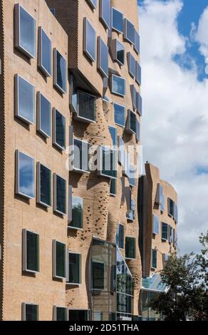 Vue oblique de l'élévation est montrant le mur de briques fait à la main. Dr Chau Chak Wing Building, UTS Business School, Sydney, Australie. Architecte : pièce Gehry Banque D'Images