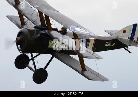 Soopwith Triplane N6290, Shuttleworth Collection avant Crash Landing. Banque D'Images