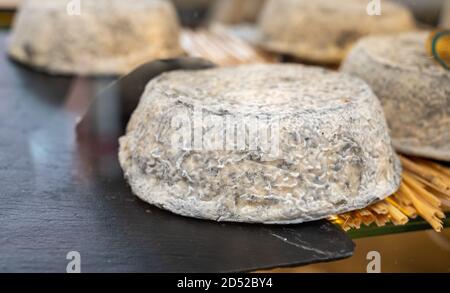 Collection de fromages, fromage gris français à base de lait de chèvre dans la région Normandie en France gros plan Banque D'Images