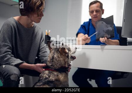 Une jeune femme inquiète avec son chien dans une clinique vétérinaire, ayant une consultation avec un médecin vétérinaire expérimenté. Banque D'Images