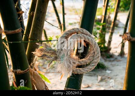 Jute ou corde en plastique arrondie et suspendue sur le bambou jardin Banque D'Images