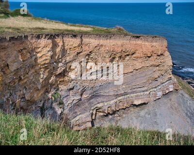 Sur les falaises côtières érodées près de Whitby, des strates de la formation de mudstone de Whitby - le soubassement sédimentaire se sont formées il y a environ 174 à 183 millions d'années Banque D'Images