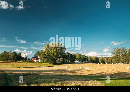 Paysage rural suédois champ avec balles de foin sec pendant la récolte en soirée ensoleillée. Terres agricoles avec Red Farm Barn Banque D'Images