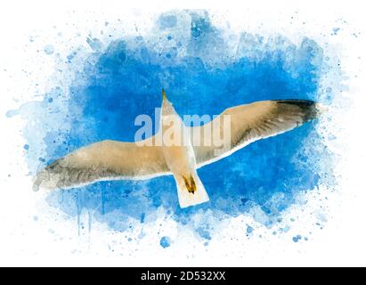 Mouette sur ciel bleu volant au-dessus de la mer, carte postale comme esquisse, dessin aquarelle Banque D'Images
