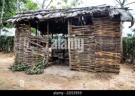 Haïti maison rurale en bois Banque D'Images