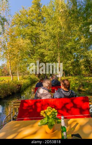 Excursion en bateau sur les canaux et les criques à travers la forêt de Spreewald ou Spree, communauté de Burg, Brandebourg, Allemagne de l'est, Europe Banque D'Images