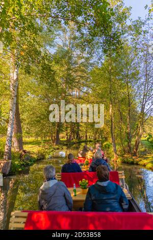 Excursion en bateau sur les canaux et les criques à travers la forêt de Spreewald ou Spree, communauté de Burg, Brandebourg, Allemagne de l'est, Europe Banque D'Images