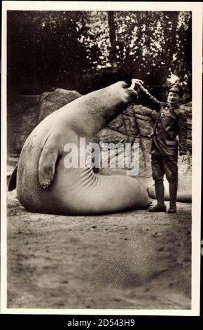 Hambourg Eimsbüttel Stellingen, Carl Hagenbecks Tierpark, Seeelefant, Pfleger | utilisation dans le monde entier Banque D'Images