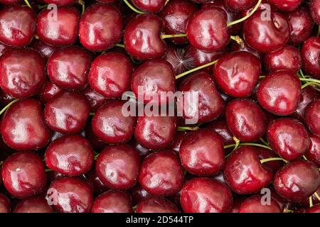 cerisier mûr doux viburnum fond de cerisier. Banque D'Images