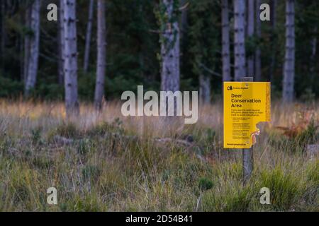 Panneau de la zone de conservation du cerf jaune dans le parc national de New Forest, Hampshire, Angleterre, Royaume-Uni Banque D'Images