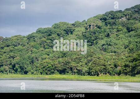 La rivière Chagres et le Parc National de Soberania dans la distance Banque D'Images