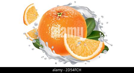 Orange et un peu de lait ou de yaourt. Illustration de Vecteur