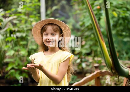 jolie petite fille tenant vivant beau papillon sur sa main Banque D'Images