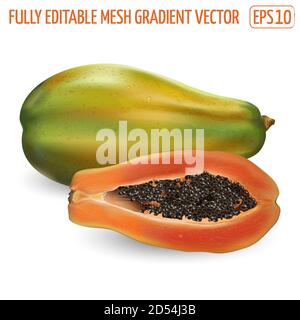Papaye entière et demi sur fond blanc. Illustration de Vecteur