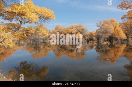 (201013) --BEIJING, 13 octobre 2020 (Xinhua) -- la photo prise le 11 octobre 2020 montre une vue d'automne dans le comté de Jinta de Jiuquan, dans la province de Gansu, dans le nord-ouest de la Chine. (Photo de Chen Li/Xinhua) Banque D'Images