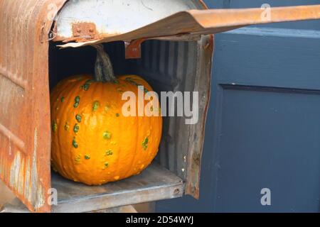 Une citrouille orange dans une boîte postale rouillée avec couvercle vers le haut. Banque D'Images