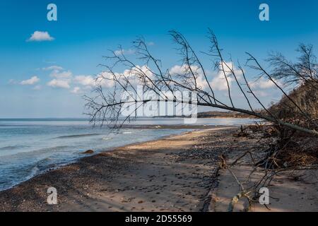 Glissement de terrain sur une plage de la mer Baltique. Banque D'Images