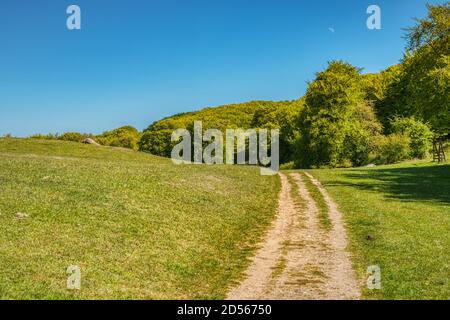 Un sentier de randonnée dans une courte prairie verte vous emmène dans les bois sur une colline douce et relaxante à proximité de Mons Klint. Besoin de marcher ou de détendre les concepts Banque D'Images
