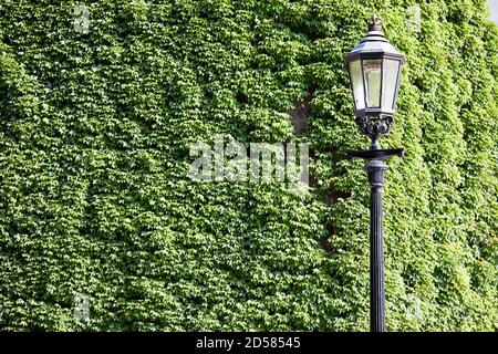 Londres, Royaume-Uni. - 22 sept 2020: Une lumière de rue devant la Citadelle d'Amirauté en béton couvert de lierre à Horse Guards Parade. La puissante, bombe- Banque D'Images